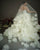 Strapless 3D Floral Cluster Ball Gown | Nicole & Felicia x Nicol Sposa Collaboration Nicol Sposa